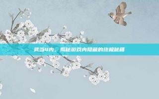 武当4内，揭秘游戏内隐藏的终极秘籍