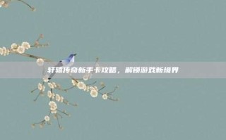 轩辕传奇新手卡攻略，解锁游戏新境界