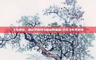 飞车续写，追忆李斯特与指尖的星辰-天天飞车李斯特