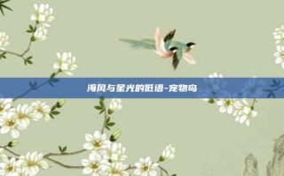 海风与星光的低语-宠物岛