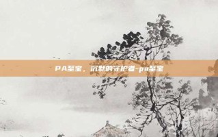 PA至宝，沉默的守护者-pa至宝