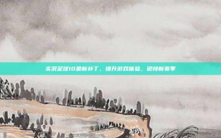 实况足球10最新补丁，提升游戏体验，迎接新赛季