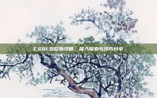 CSOL狄欧斯攻略，深入探索与技巧分享