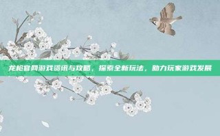 龙枪官网游戏资讯与攻略，探索全新玩法，助力玩家游戏发展