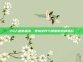 24人血浪鲨湾，团队协作与策略的终极挑战