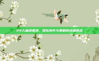 24人血浪鲨湾，团队协作与策略的终极挑战