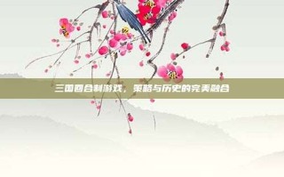 三国回合制游戏，策略与历史的完美融合