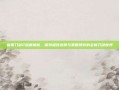 像素刀剑2深度解析，探索极致还原与策略博弈的全新刀剑世界