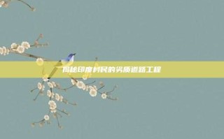 揭秘印度村民的劣质道路工程