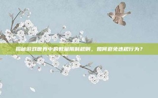 揭秘游戏世界中的数量限制规则，如何避免违规行为？
