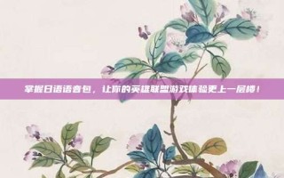 掌握日语语音包，让你的英雄联盟游戏体验更上一层楼！