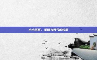 小小名将，策略与勇气的较量