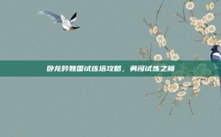 卧龙吟魏国试练塔攻略，勇闯试炼之巅