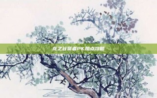 龙之谷贤者PK加点攻略