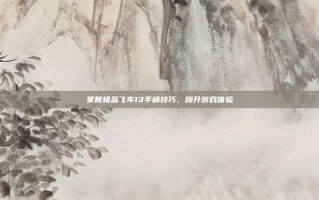 掌握极品飞车13手柄技巧，提升游戏体验