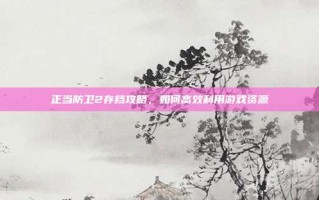 正当防卫2存档攻略，如何高效利用游戏资源