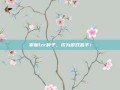 掌握lzr种子，成为游戏高手！