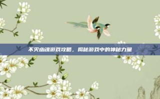 不灭幽魂游戏攻略，揭秘游戏中的神秘力量