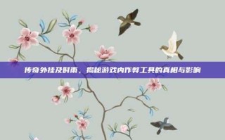 传奇外挂及时雨，揭秘游戏内作弊工具的真相与影响