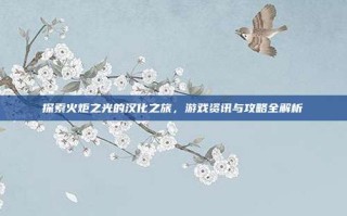 探索火炬之光的汉化之旅，游戏资讯与攻略全解析
