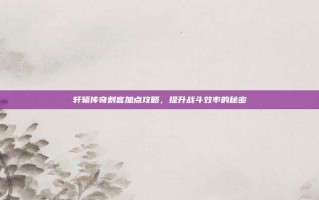轩辕传奇刺客加点攻略，提升战斗效率的秘密