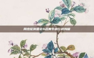 周杰伦演唱会4名黄牛被行政拘留