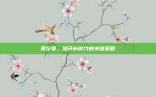 赛尔号，提升防御力的关键策略