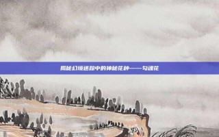 揭秘幻境迷踪中的神秘花种——勾魂花