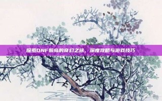 探索DNF猴岛的奇幻之旅，深度攻略与游戏技巧