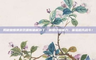 揭秘蜘蛛侠游戏最新破解补丁，解锁终极能力，体验超凡战斗！
