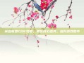 英雄联盟CDK攻略，掌握核心道具，提升游戏胜率