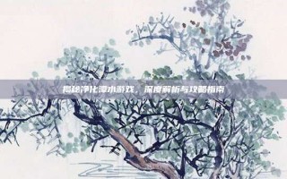 揭秘净化潭水游戏，深度解析与攻略指南