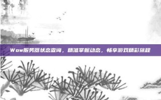 Wow服务器状态查询，精准掌握动态，畅享游戏精彩旅程