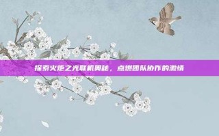 探索火炬之光联机奥秘，点燃团队协作的激情