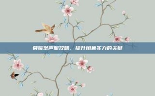 荣耀堡声望攻略，提升角色实力的关键