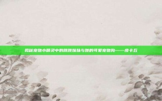 揭秘宠物小精灵中的跳跳妹妹与她的可爱宠物狗——皮卡丘