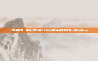 光明的轮回，再探光明力量EXA中被时光掩埋的宝藏-光明力量exa