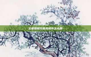 王者荣耀充值荣耀币怎么用