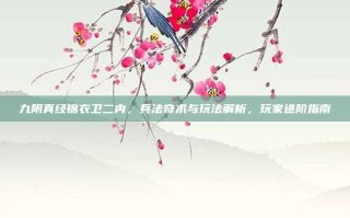 九阴真经锦衣卫二内，兵法奇术与玩法解析，玩家进阶指南