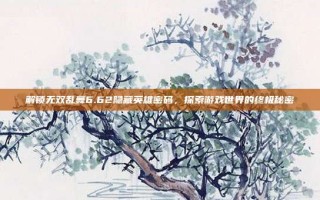 解锁无双乱舞6.62隐藏英雄密码，探索游戏世界的终极秘密