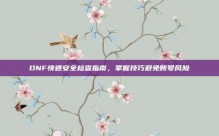DNF快速安全检查指南，掌握技巧避免账号风险
