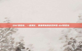 DNF傻瓜包，一键美化、便捷更新的游戏伴侣-dnf傻瓜包
