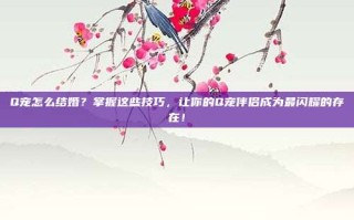 Q宠怎么结婚？掌握这些技巧，让你的Q宠伴侣成为最闪耀的存在！