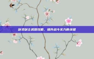 剑灵剑士武器攻略，提升战斗实力的关键