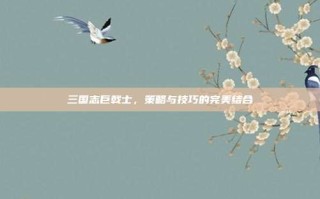 三国志巨戟士，策略与技巧的完美结合