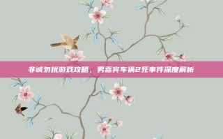 非诚勿扰游戏攻略，男嘉宾车祸2死事件深度解析