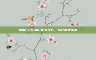掌握CSGO调HUD技巧，提升游戏体验