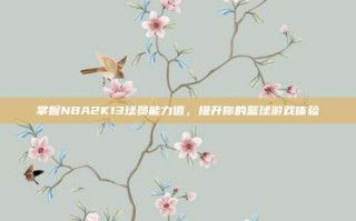 掌握NBA2K13球员能力值，提升你的篮球游戏体验