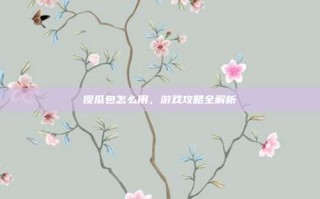 傻瓜包怎么用，游戏攻略全解析