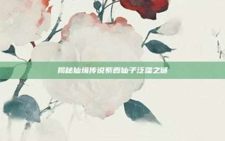 揭秘仙境传说紫霞仙子泛滥之谜